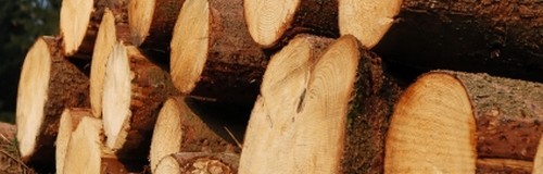 Chaudière à bois