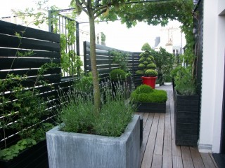 Aménagement d'une terrasse en bois