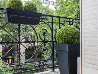 Balcon aménagé avec quelques plantes vertes