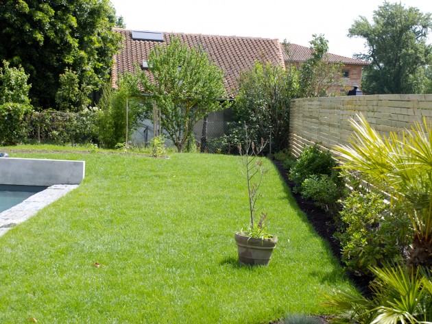 Jardin aménagé avec pelouse et arbustes