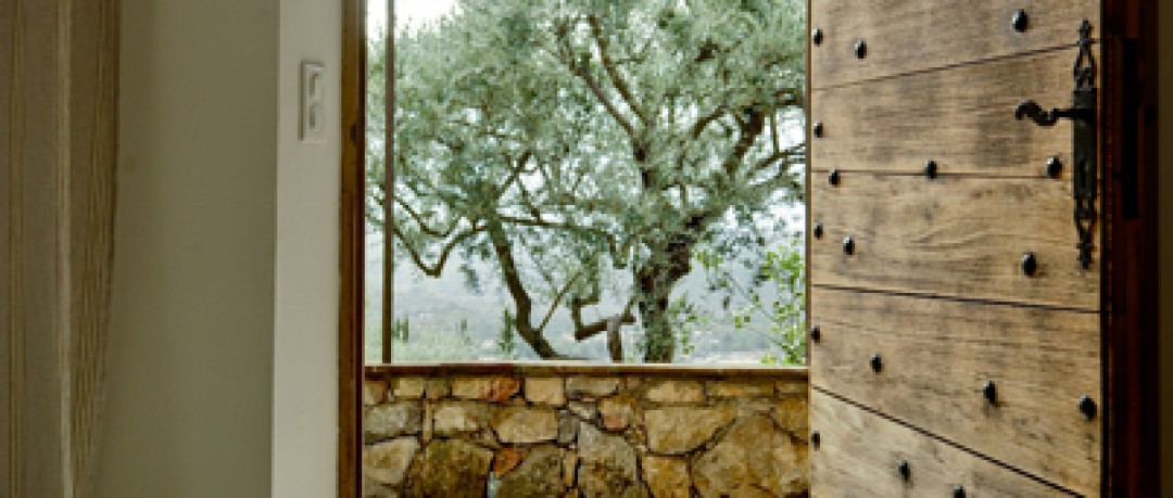 Olivier centenaire et murs en pierre