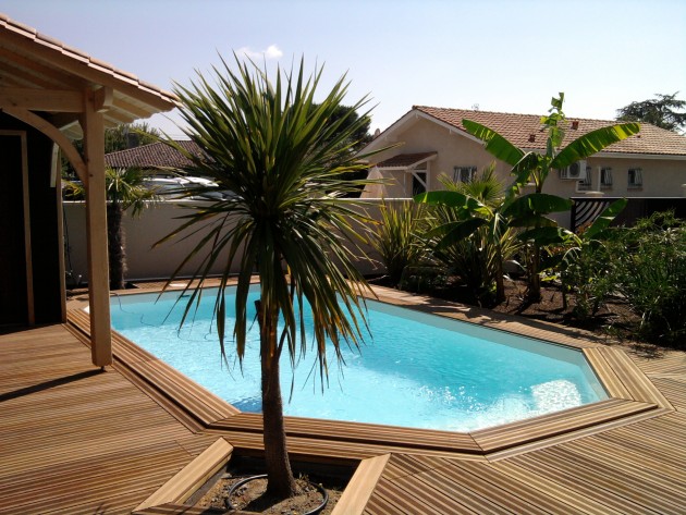 Piscine dans jardin exotique