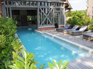 Piscine intérieure et extérieur avec terrasse en bois grisé