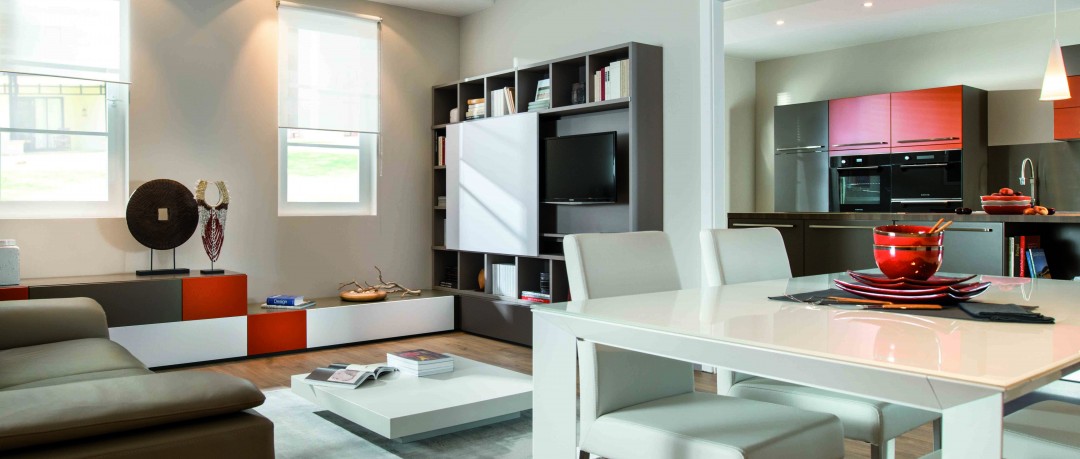 Salon contemporain avec rangements pratiques