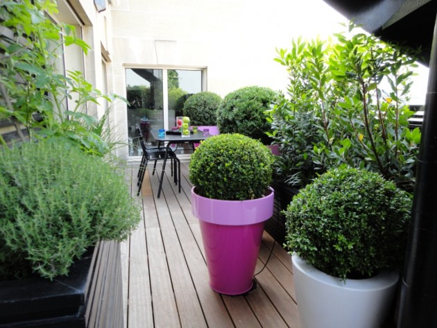 Terrasse- Jardin Paris 16