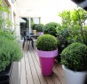 Terrasse- Jardin Paris 16