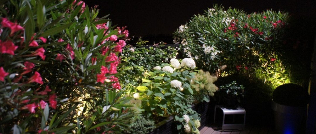 Terrasse avec hortensias blancs et lauriers roses et blanc