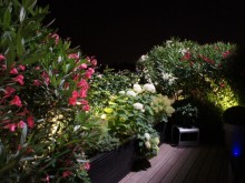 Terrasse avec hortensias blancs et lauriers roses et blanc