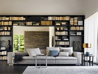 salon contemporain avec bibliotheque en bois noir