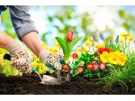 Aménagement de jardin : 5 conseils simples et efficaces
