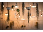 5 idées créatives pour utiliser des guirlandes LED dans votre intérieur