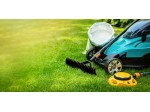 Robot tondeuse quel modele vraiment taille pour votre jardin ?