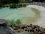 Pourquoi choisir une piscine naturelle ?