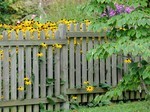 Clôture de jardin