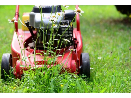 Comment bien choisir la tondeuse adaptée à son jardin ?