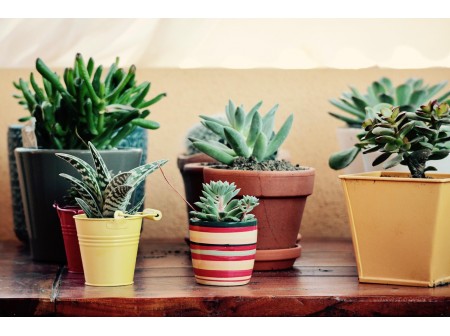 Guide et conseils pour aménager sa terrasse