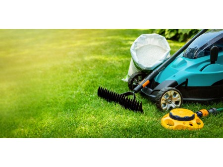 Robot tondeuse quel modele vraiment taille pour votre jardin ?